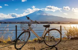 Setouchi: A Must-Visit Destination for Art and Cycling Enthusiasts