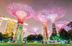 Singapore Aesthetic: A 2025 Travel Guide to Must-Visit Photo Spots